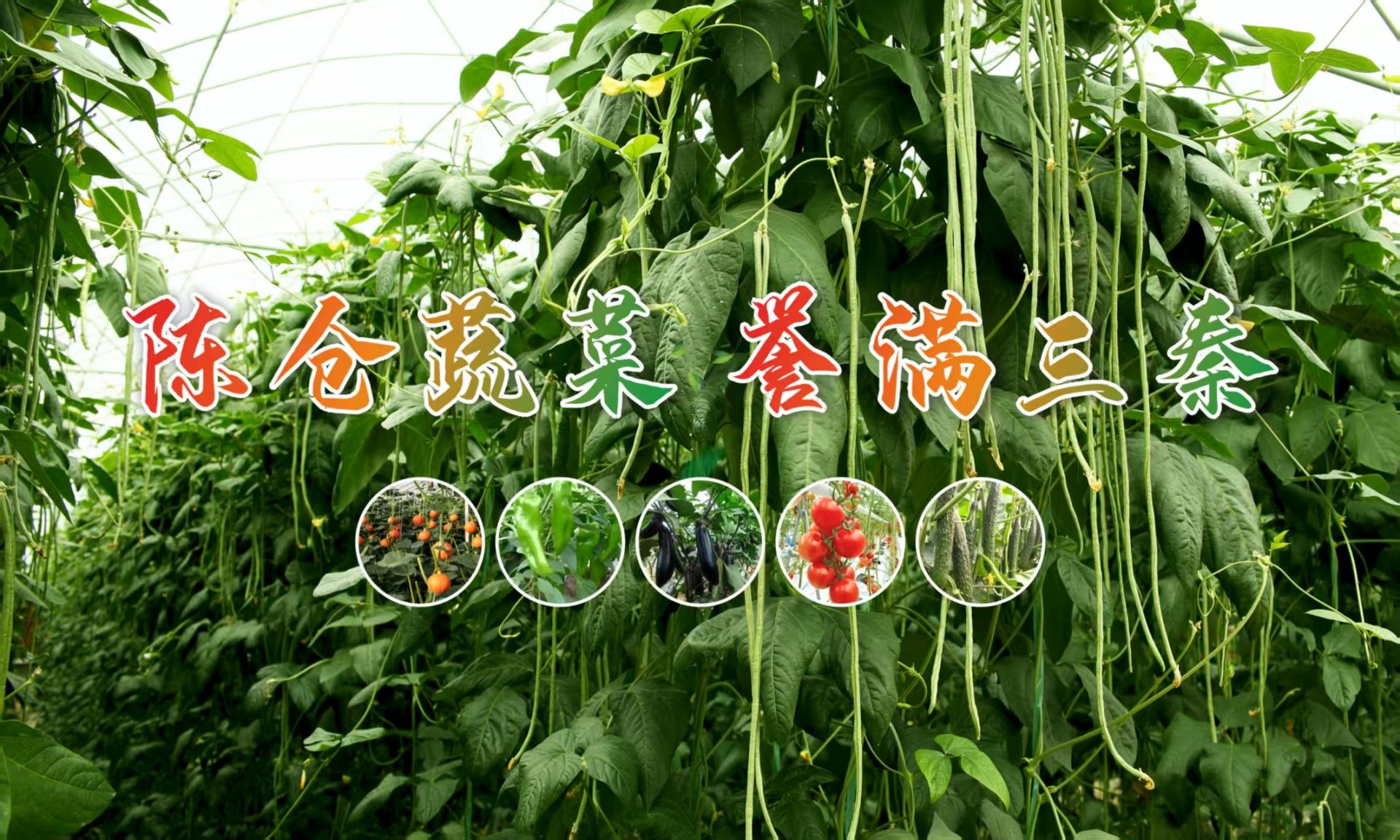 正在上传... f5fd72f24a55e7b29d2d87172478bb86.jpeg