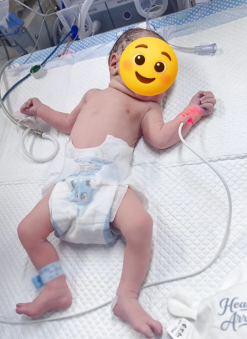 正在上传... e50e43f40886b7d8f5d39eb30ee8473a.png