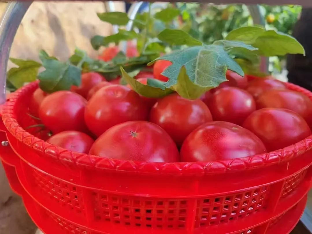 正在上传... 42737dd0046f8a548dc213a37b7e79cd.png