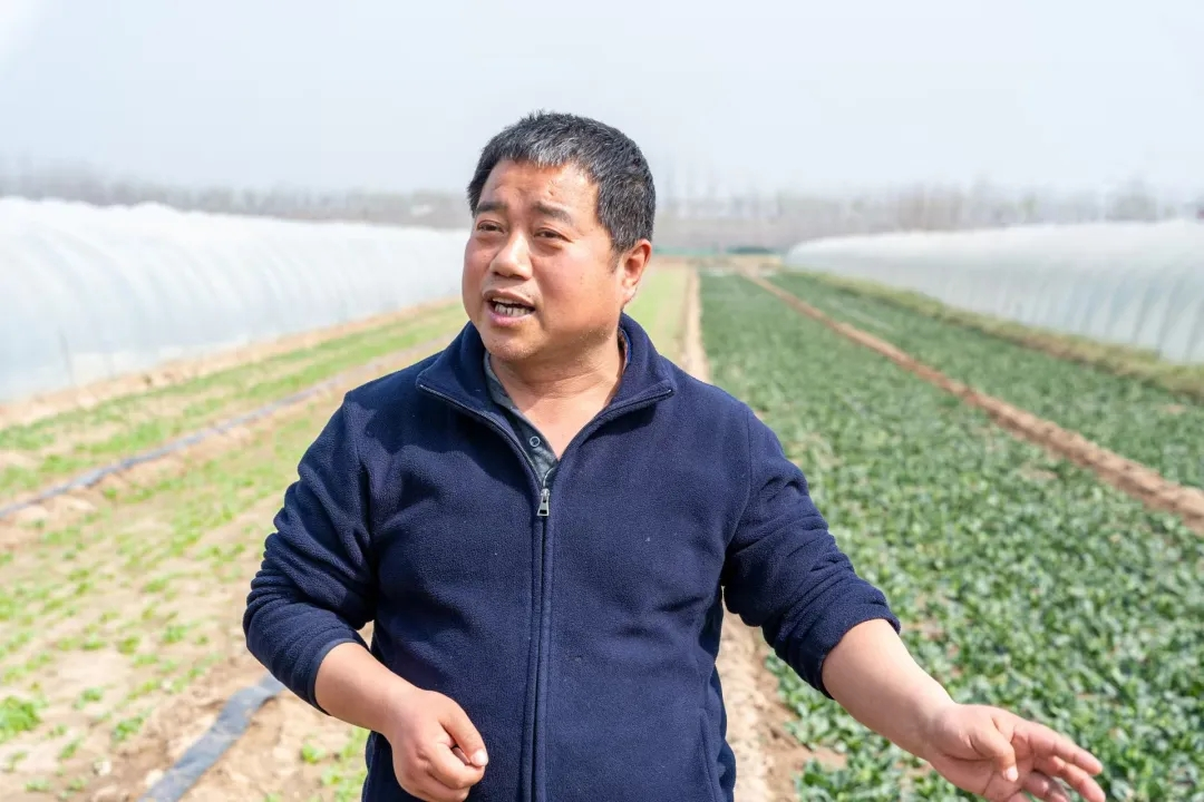 正在上传... 6c063e4e83d4880a38893e3673093063.png