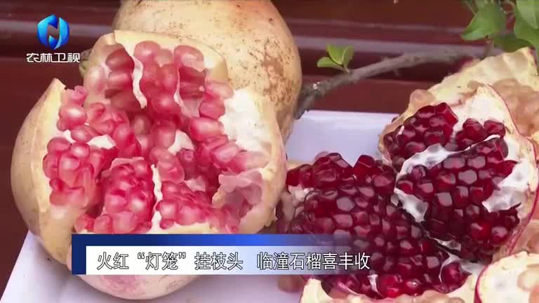 農(nóng)村大市場(chǎng) (2025-11-01)