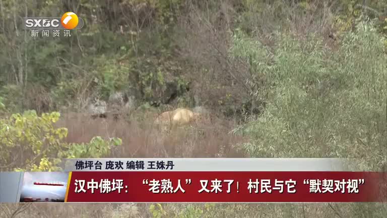 晚間新聞站(2025-11-03)