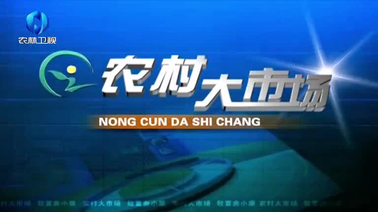 農(nóng)村大市場(chǎng)(2025-11-03)
