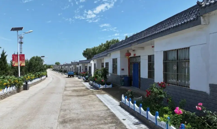 陕西持续改善农村人居环境 “千万工程”让乡村焕发新活力