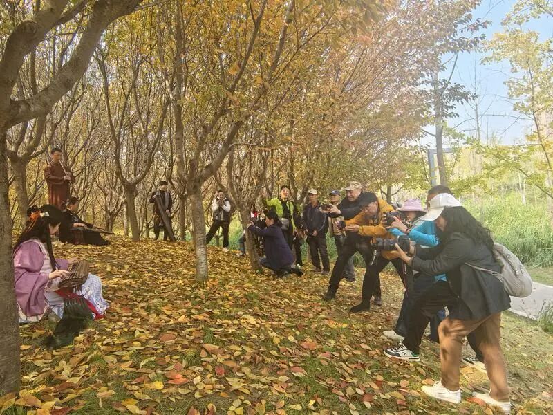 霜叶红于二月花！60余文艺工作者用艺术定格雁塔秋韵