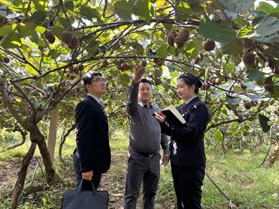 正在上传... 532905e09fca6e3734e2025f7f22b351.png