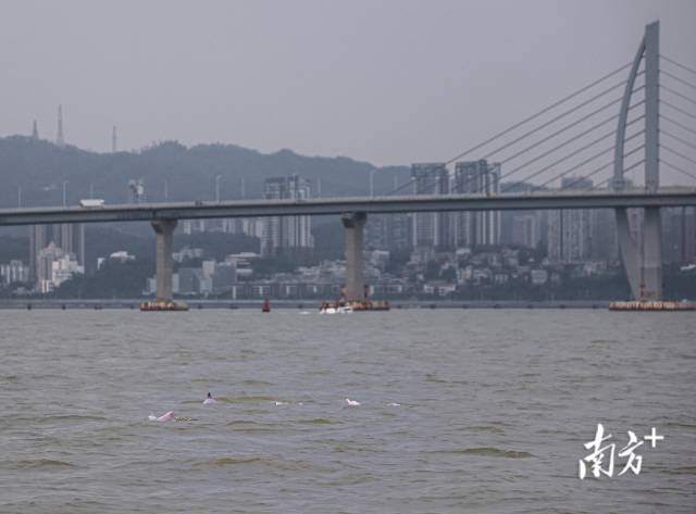 南方+ 石磊 拍摄