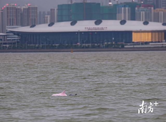 南方+ 石磊 拍摄