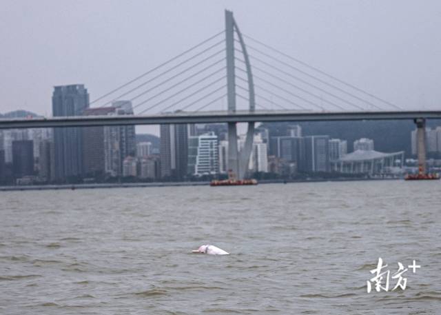 南方+ 石磊 拍摄