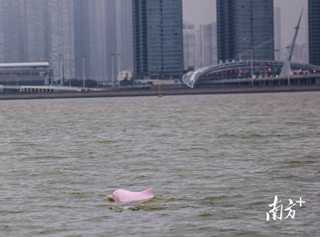 南方+ 石磊 拍摄