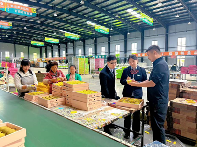 正在上传... d76cd8c782e90cafef1e11d50178767c.png