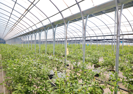 正在上传... 9483fb04cf8ab2536a535529cdc7fc43.png