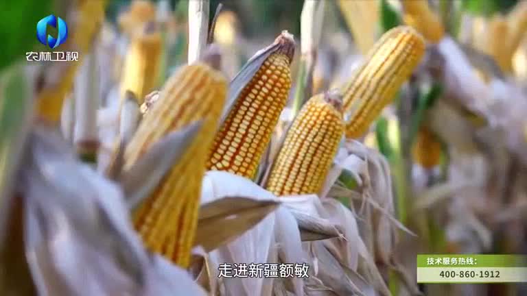 中国农资秀 (2025-11-09)