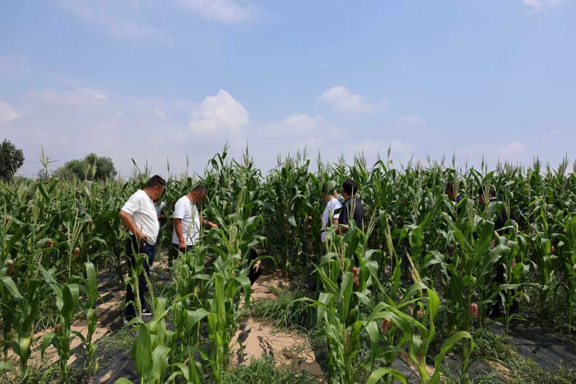 正在上传... 563c9cc85336fa1a9e87140d4684ff9e.jpeg