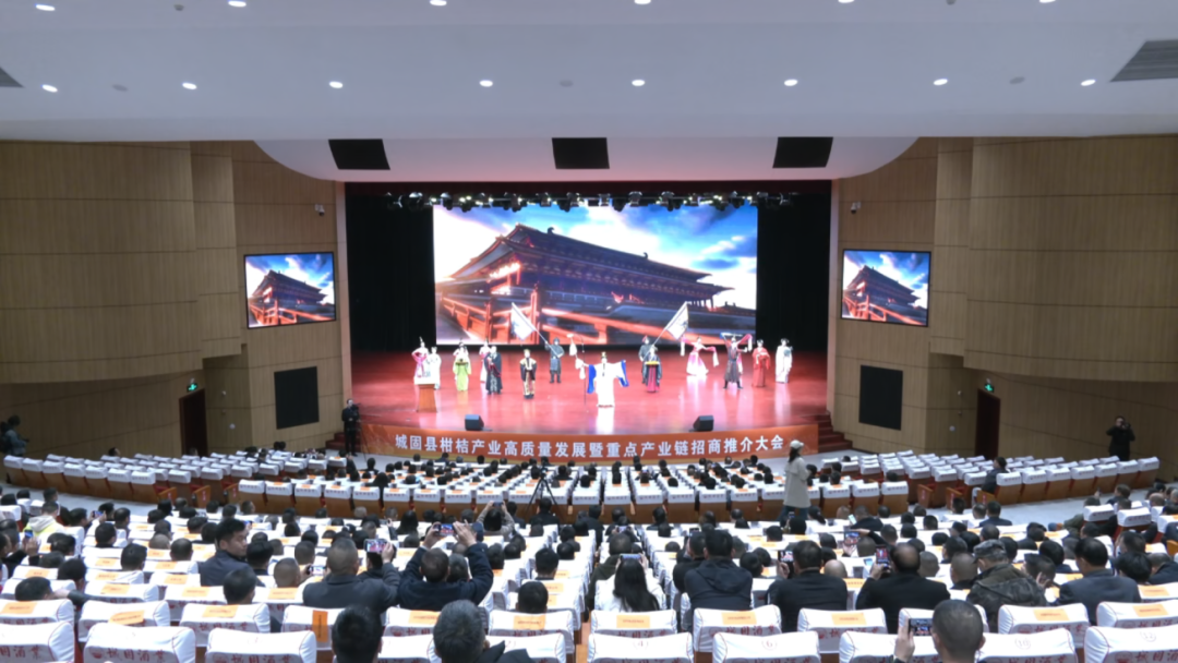 城固柑桔，甜酸刚刚好