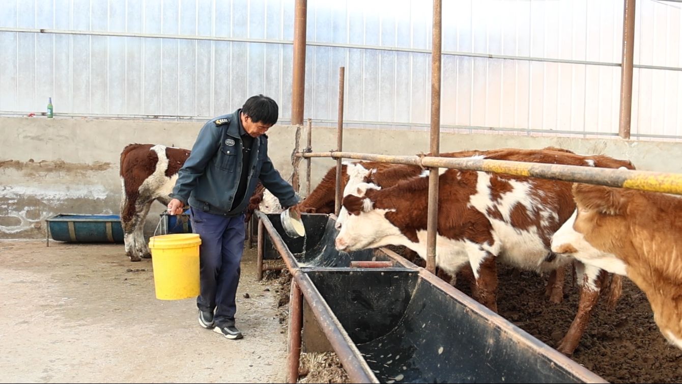 正在上传... b97514f31389cabb150501f630c3fe47.jpeg