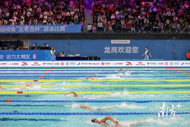 11月12日晚,十五运会游泳项目进入第3个比赛日,观众观看女子自由泳比赛。郑新洽 摄 11月12日晚,十五运会游泳项目进入第3个比赛日,观众观看女子自由泳比赛。郑新洽 摄