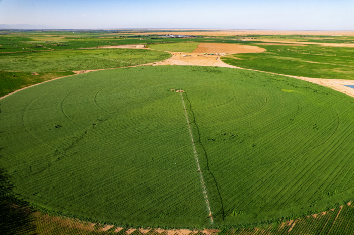 正在上传... cfa235d11fed5607163b1dd2ceae066f.png