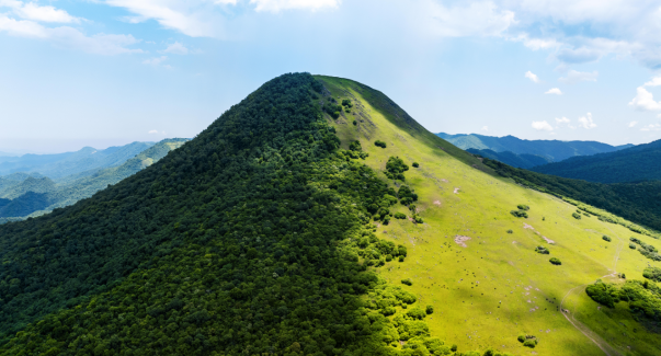 正在上传... 2ca36faea2ba94a2ce3b2a54cc91450a.png