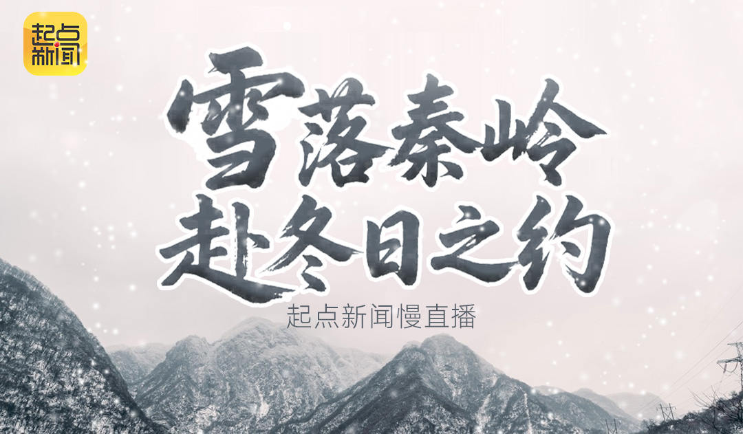 慢直播丨雪落秦岭 赴冬日之约