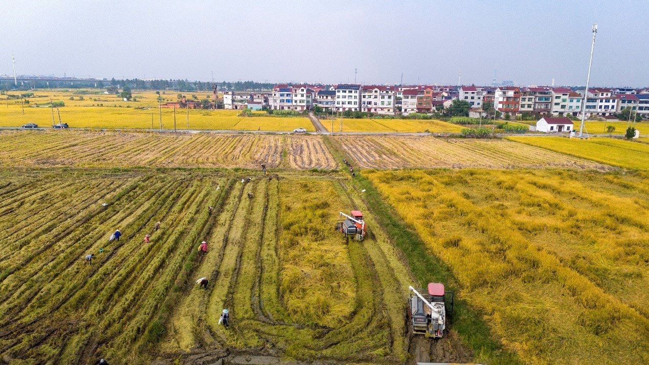 图片6.jpg 482086665342e193dbc4af190826b989.jpeg