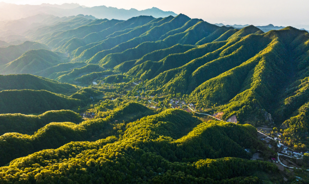 正在上传... e585ad2aa8c3ffdf7674b8494b1c78fc.png