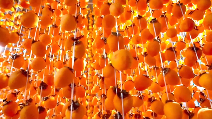 富平柿子：从枝头到舌尖的“甜蜜魔法”