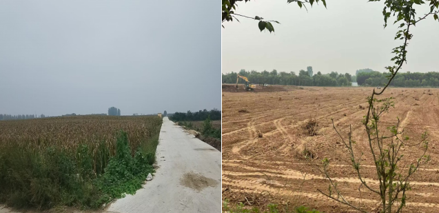 正在上传... ab5314e18cd67eb97853431167322335.png