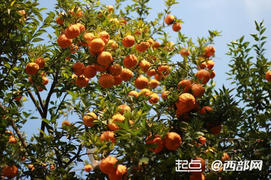 正在上传... 82593747de9010ebe6a600bccde9d4f0.jpg