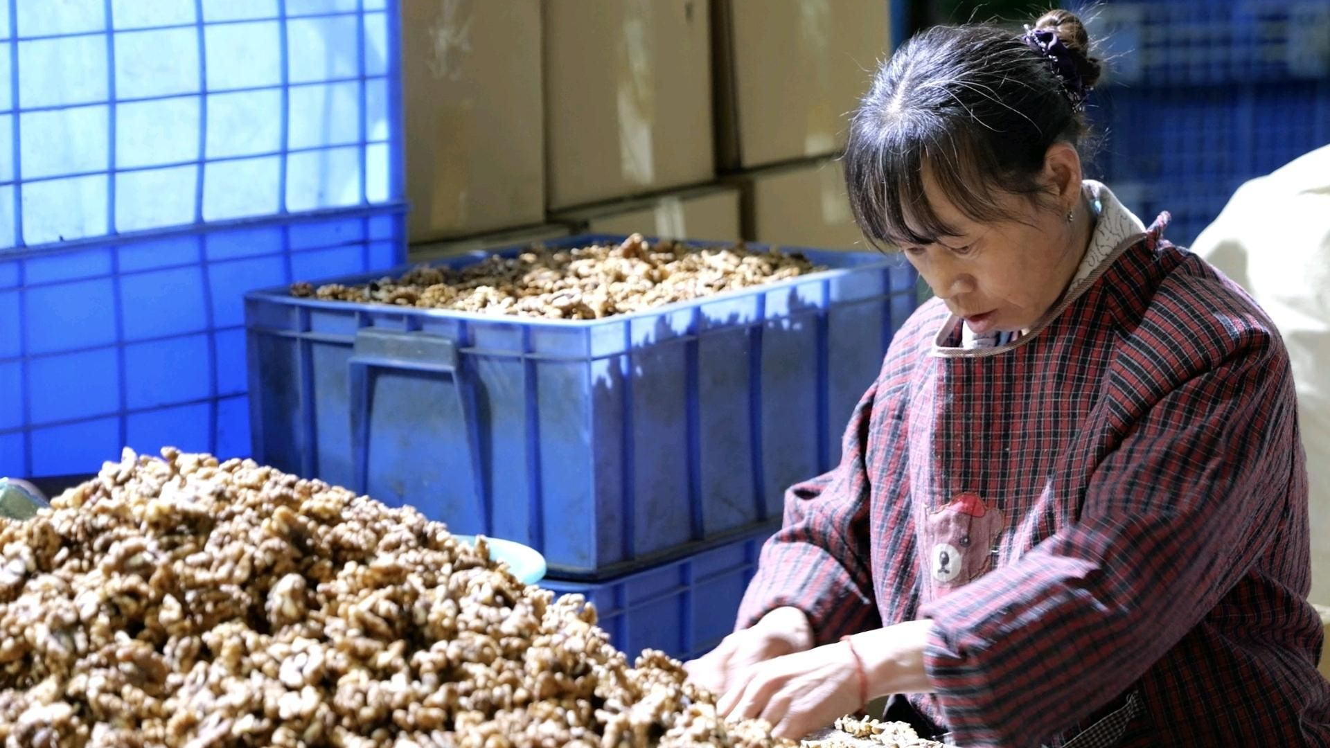 商洛：小核桃闯荡大世界