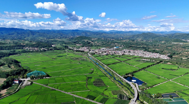 正在上传... 1afc355792643d2461db62a3cdce10ee.png