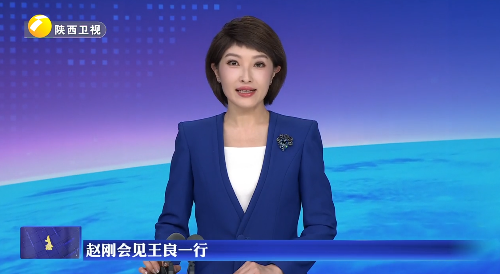 赵刚会见王良一行