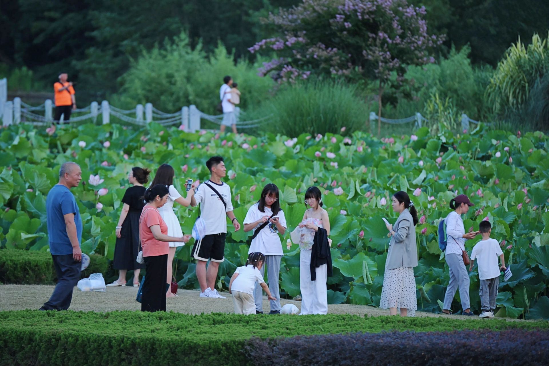 正在上传... 72832ba713d9622a9e777678c69eb0be.jpeg