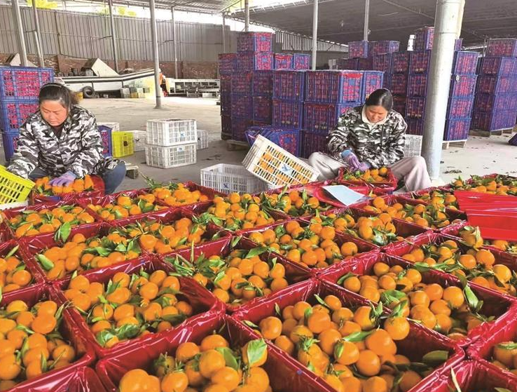 正在上传... 8879469ac96dbd214c9cdfa1cbb791d0.png