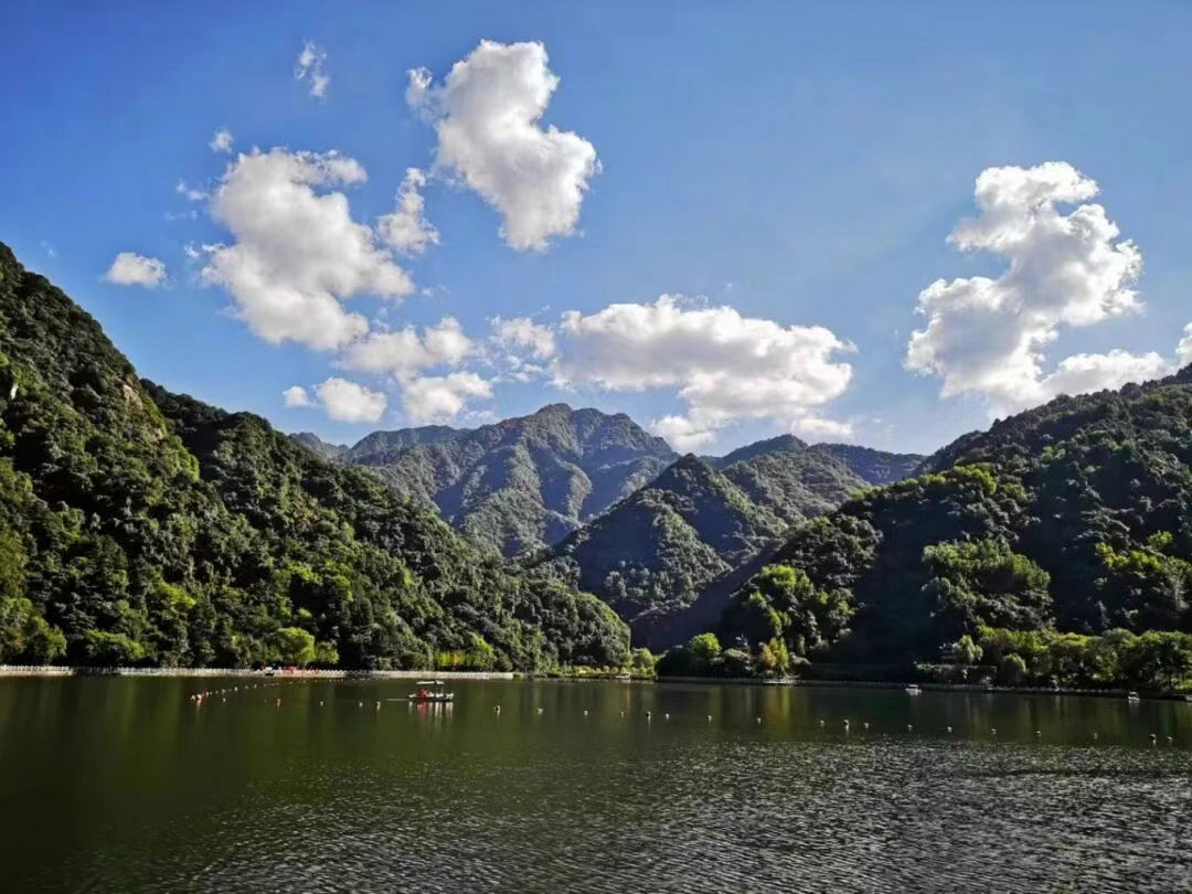 7257465900e2941381d2cc90f62929e5.png