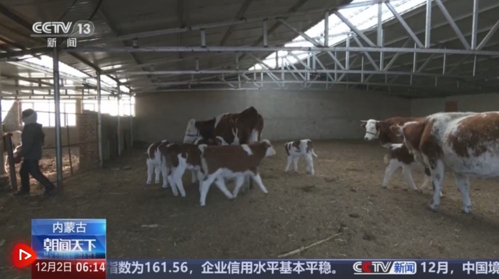 正在上传... 8e290990fc272d7a739150e3f94ab525.png