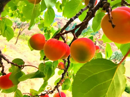 正在上传... a1bbca8b18f70fc1880e2fdf4f6d43d7.png