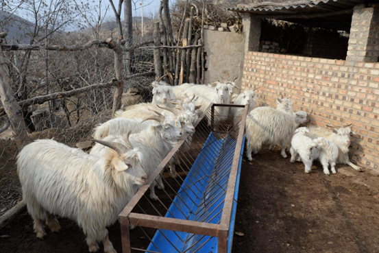 正在上传... bcb23400736b74ba581c696cf61ac907.png