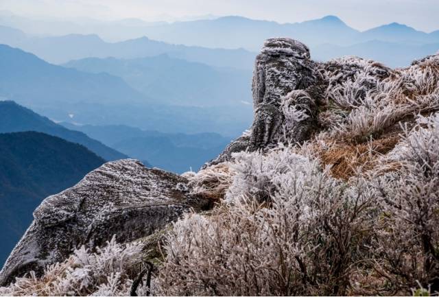 广东清远三水瑶族乡与湖南蓝山县交界的南方坳，树枝被冰层包裹，草丛披上水晶外衣。南方+记者 段奇 摄