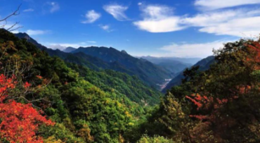 在推动发展方式绿色低碳转型上取得更大突破、争做西部示范——论认真学习贯彻省委十四届九次全会精神