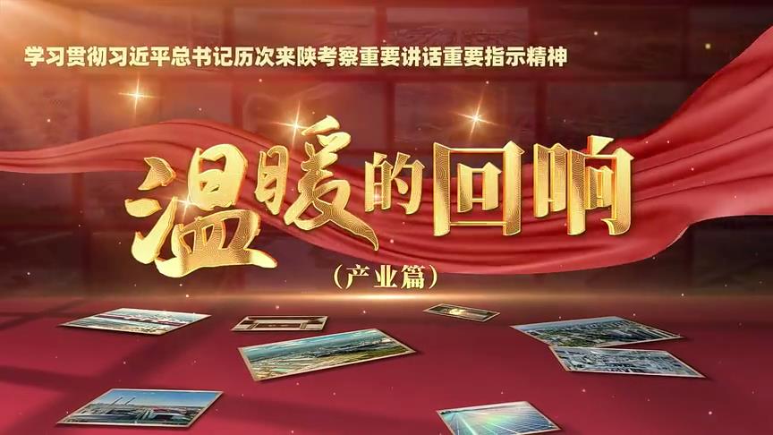 温暖的回响——学习贯彻习近平总书记历次来陕考察重要讲话重要指示精神（产业篇）