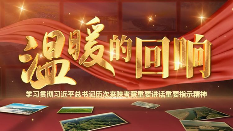 【专题】温暖的回响