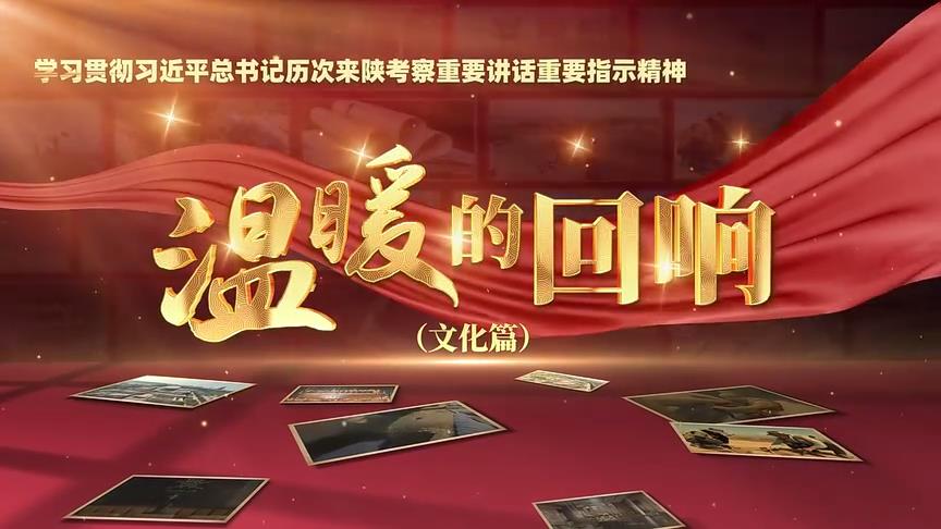 温暖的回响——学习贯彻习近平总书记历次来陕考察重要讲话重要指示精神（文化篇）