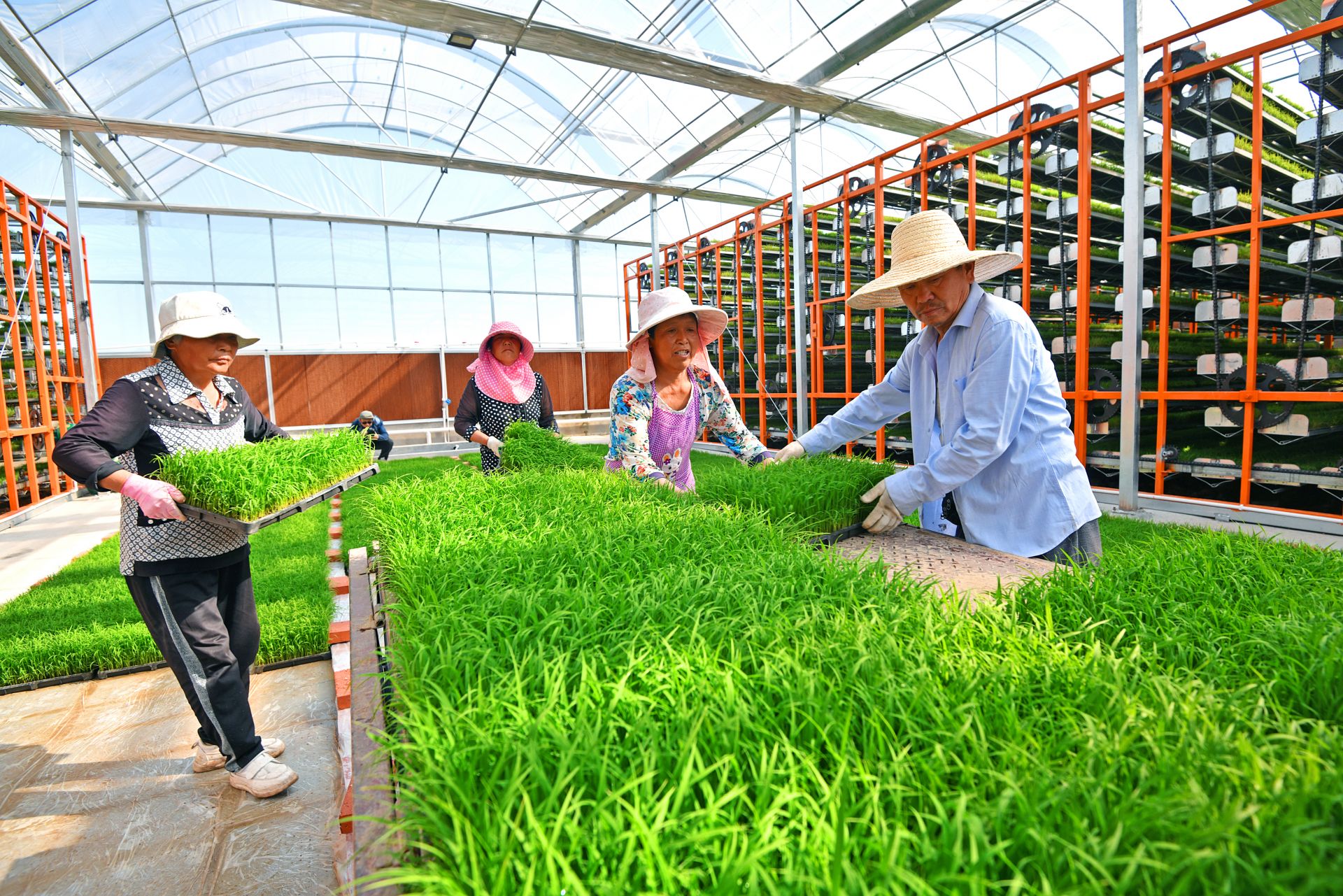 正在上传... 23196fcfa4c99b11023f07c191aac266.jpeg