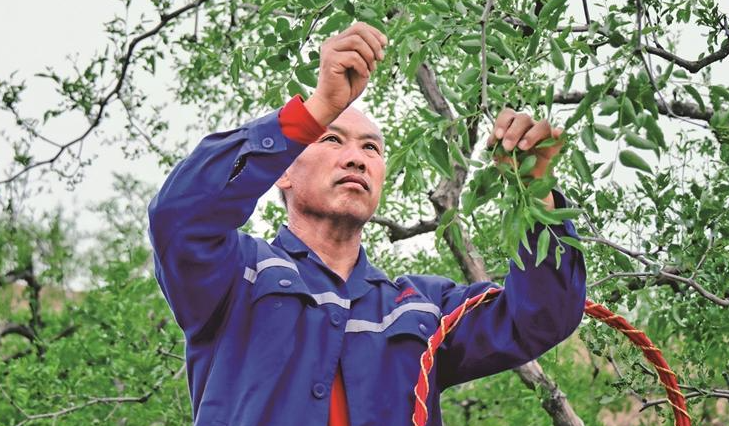 “绿元素”转化为产业“含金量”