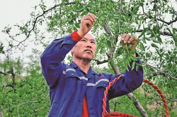 正在上传... a3a668011dba1471b73e7b40ed2a30c1.png