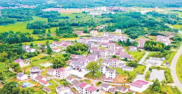 陕西银企精准对接助推乡村产业全链升级