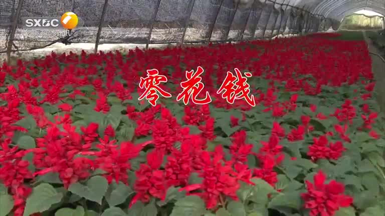 百家碎戏（2025-12-10）