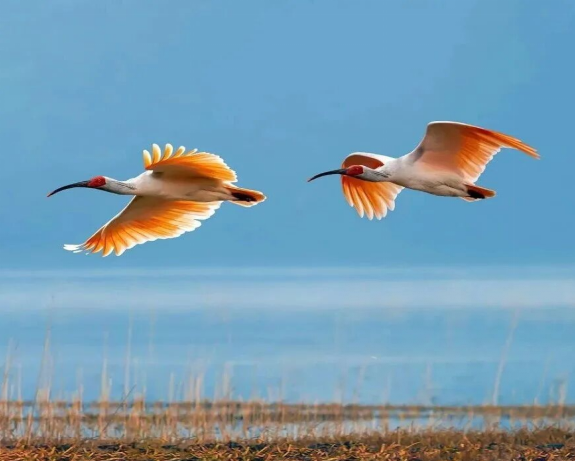 正在上传... 10d6981f9fec7e865e83e002c9236e72.png