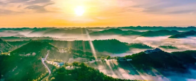 正在上传... 20a504d21bae635a5cfee2de19e7d9e7.png